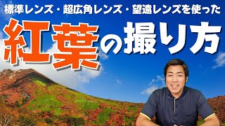 秋の紅葉が上手に撮れる！カメラ初心者でも失敗しない撮り方！構図や設定のポイント【撮り方講座/標準＆超広角＆望遠レンズ】