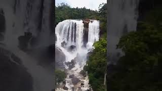 Kuthumkal waterfalls Rajakkad idukki