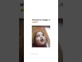 funny 🤣🤣🤣🤣|#funnyshorts #yourhighness
