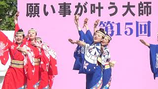 かわさき楽大師よさこい20190420 連番 112