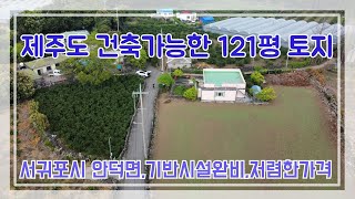 NO.315 서귀포시 안덕면 121평 건축가능한 토지매매 주택,공방,민박등 다용도로 건축추천 기반시설완비 제주도전문부동산채널 올레길TV