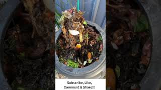 What To Do Once Your Compost Bin is FULL