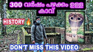 😯300 വർഷം പഴക്കം ഉള്ള ഒരു കാവ് |ഈ കാവിൽ ഒരുപാട് സവിശേഷത ഉണ്ട് |#history #nature #youtube #temple