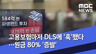 고용보험마저 DLS에 '혹'했다…원금 80% '증발' (2019.08.19/뉴스데스크/MBC)