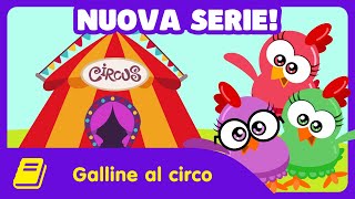 Gallina Puntolina Mini - Storia - Galline al Circo