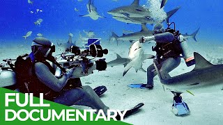 Shark Divers - One of the World's Most Dangerous Jobs | Free Documentary Nature