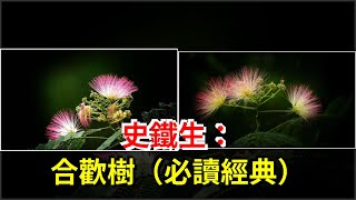 史鐵生：合歡樹（必讀經典），[心靈驛站]