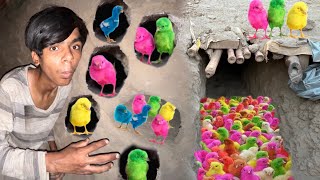 Hole May colourfull chicks aa Gay | Part 2