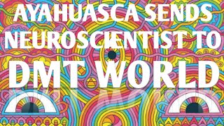 Ayahuasca sends neuroscientist to DMT world  |  Dr. James Cooke [trip report]