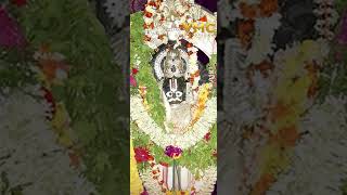 Ganapur Chaneya Sambaralu | #Shorts | #Chennakesava Swamy Temple | #shortsyoutube | #Vmc Devotional