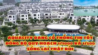 Dự án Aqua city của Novaland đã được tháo gỡ vướng mắc về pháp lý, tăng tốc hoàn thiện