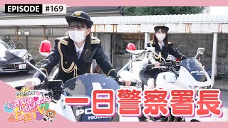 【密着】一日警察署長になった超とき宣の一日 / epi.169 #春の交通安全運動