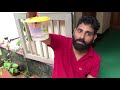 കായീച്ചകളെ തുരത്താൻ സിംപിൾ കെണി kayeecha keni engine undaakkam fruit fly trap manja keni