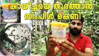 കായീച്ചകളെ തുരത്താൻ സിംപിൾ കെണി | Kayeecha keni engine undaakkam | Fruit fly trap | Manja keni