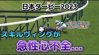 【日本ダービー2023】最後までルメール騎手を守った名馬スキルヴィング~感動~