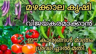 💯മഴക്കാല കൃഷി വിജയിപ്പിക്കാൻ ഈ കാര്യങ്ങൾ ശ്രദ്ധിച്ചാൽ മതി | Mansoon Farming Malayalam|Tips| Kerala