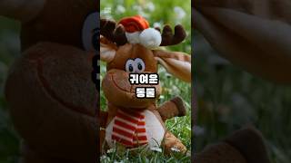 세상에서 가장 귀여운 동물 Top 10 #동물 #animals