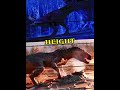 New Dino Battle - Disney Carnotaurus vs 65 Fasolasuchus #dinobattles