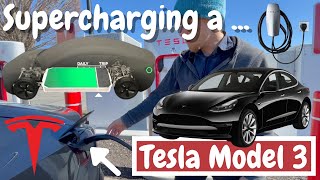 Tesla Supercharging 101: Charging a Tesla Model 3 - Fully Electric Vehicle