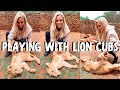 Playing With Lion Cubs  Baby Hyenas! | South Africa Safari Vlog