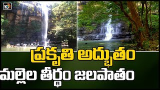 ప్రకృతి అద్భుతం మల్లెల తీర్థం జలపాతం | Special Story On Mallela Theertham Waterfalls | 10TV News