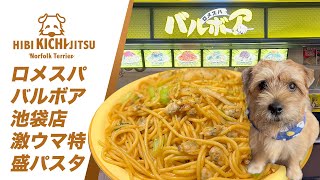 ロメスパバルボア池袋店の激うま特盛パスタ【 pasta  lunch ノーフォークテリア  norfolkterrier    】