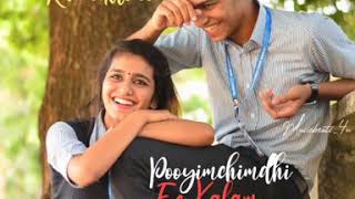 Priya Prakash Varrier Lovers Day Video Songs | Anandaley Kannullona Full Video Song | Mango Music