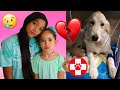 WE RUSHED Our PUPPY To The HOSPITAL! **EMOTIONAL** 💔 |THE MIR FAM