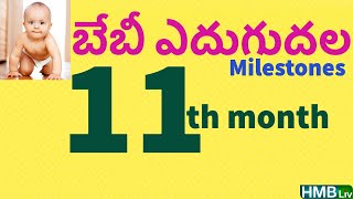 11 వ నెల బేబీ ఎదుగుదల |11th month baby growth \u0026 milestones | HMBliv Pregnancy \u0026 child care channel