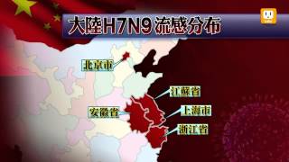 【2013.04.13】大陸H7N9 最新確診47例11死 -udn tv