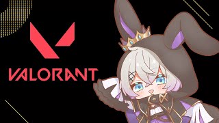 【VALORANT】soloシルコンペ もうすぐゴールド！！【月居ユイ/Vtuber】