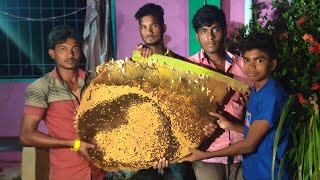 Biggest Honey Harvesting From An Giant Honey Bee's On My Village | தேன் வேட்டை || Village Foods