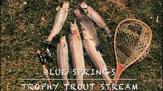 TROPHY TROUT fishing @Blue Springs - CRIPPLE CK in Wythe County Va. GREAT DAY! CHECK IT OUT! PART #2