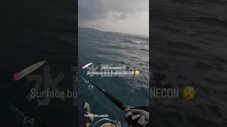 【アンダマン諸島】スネコン220Sで水面爆発。GTの群れが続々とルアーを襲う！#bluebluefishing