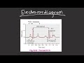 class12th biology ch8 respiration and circulation full chapter revise in 6 minutes rap song🔥