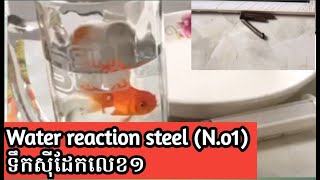 Water Reaction Steel (No.01) ទឹកស៊ីដែកលេខ១