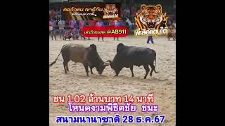 คลิปวัวชนย้อนหลัง ผลการชน ขาวงามยอดวิชาลีลายุทธ (รถถังฝั่งทน) VS ลังสาดงามเหนือปฐพีจอมลีลา (คลาสสิค)