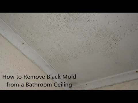 How to Remove Black Mold from a Bathroom Ceiling How to Remove Black Mold from a Bathroom Ceiling