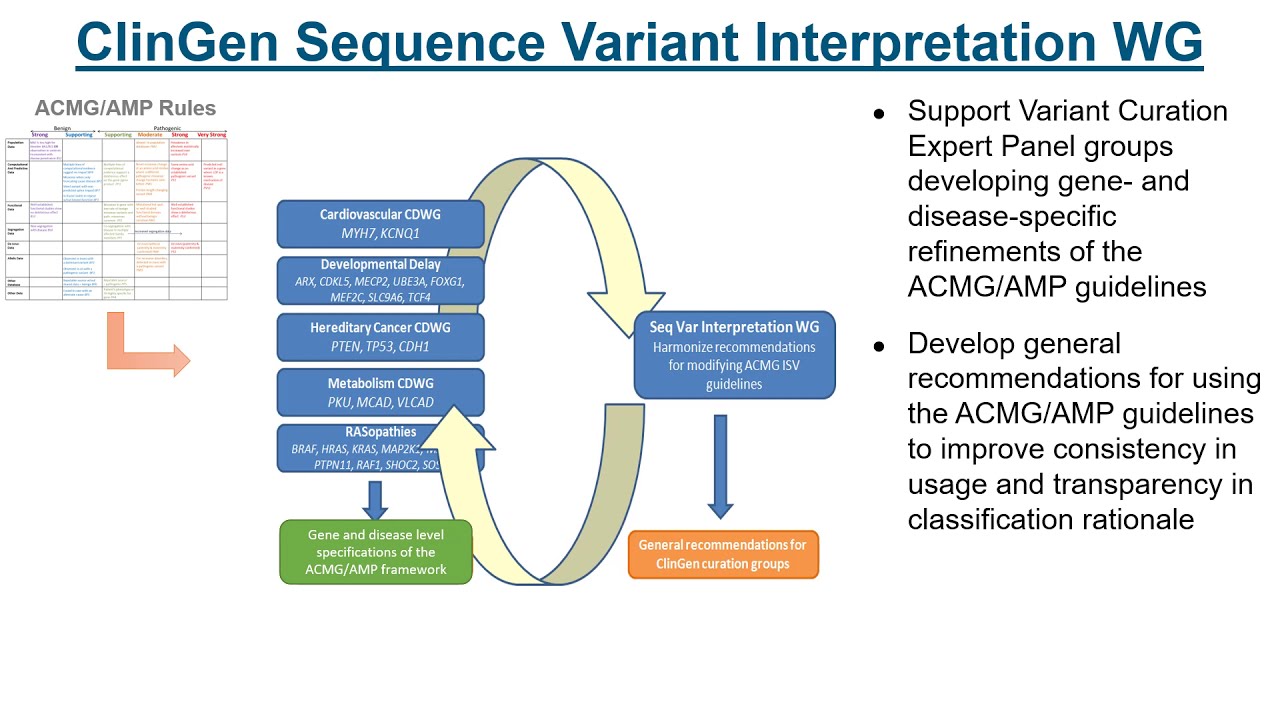 Presentation - Variant Classification Using ACMG/AMP Guidelines (Steven ...