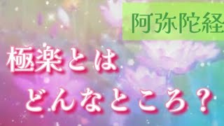 【仏教の教え】極楽浄土って本当にあるんですか。あるなら教えてください。どんな所？どこにあるの？