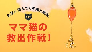 猫しか勝たん！手作りにゃんにゃんにゃんにゃん【DIY4選】