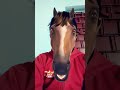 horse face funny video 😂