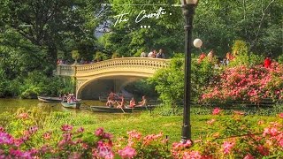 Chill Music Playlist 🍂 Chill songs when you want to feel motivated and relaxed ~ morning songs