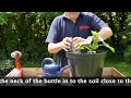 How to Make a Plant Waterer from a Plastic Bottle | Handy Gardening Hacks