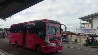 El Ñino Charm Pink Route Borbon Catmon Sogod Cebu Vv