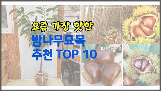 밤나무묘목 추천 당신의 지갑을 위한 최적의 선택 가격 대비 성능 최고 상품 10가지