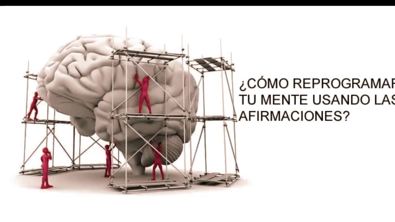 Reprograma Tu Cerebro Youtube