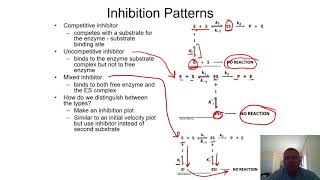 Chapter 11 - Inhibition Patterns