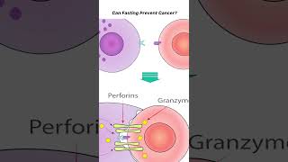 Can Fasting Prevent Cancer?