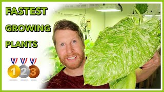 Fast Growing Rare Plants TOP 10